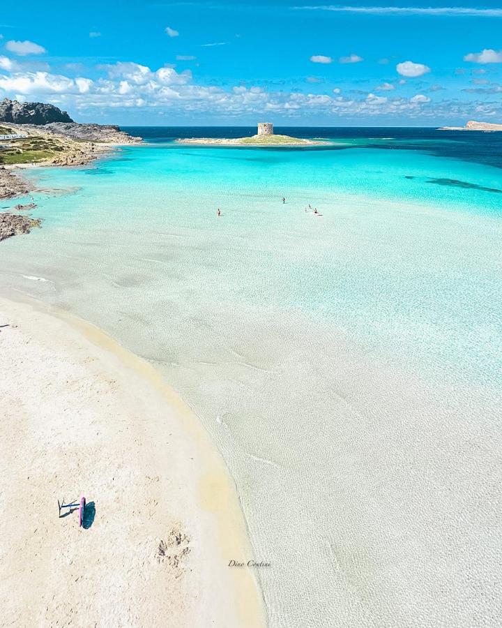 فندق Ancoramare ستينتينو المظهر الخارجي الصورة